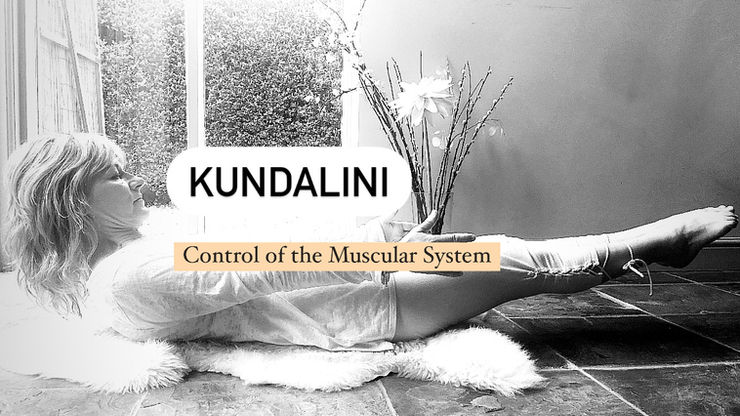 Control of the Muscular System